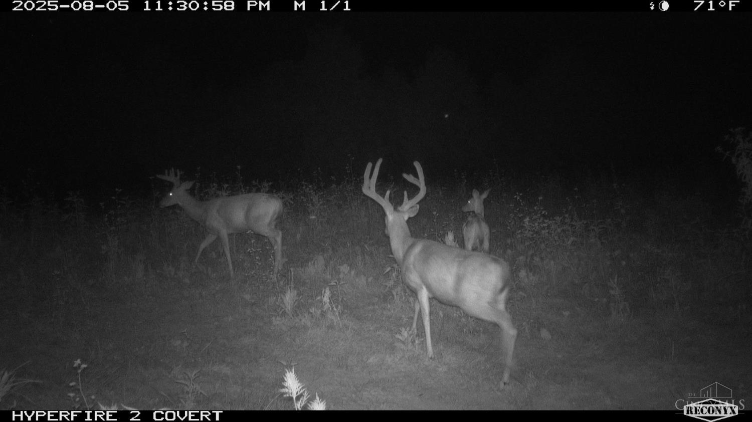 Lick Run Lyra Road, Bloom Twp, OH, 45682 — photo 76