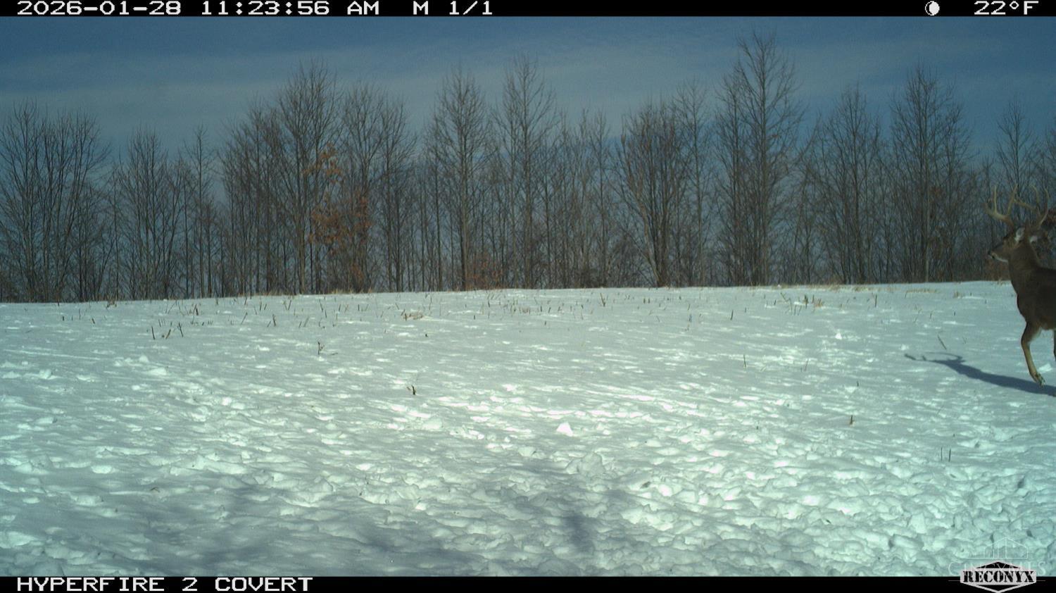 Lick Run Lyra Road, Bloom Twp, OH, 45682 — photo 87