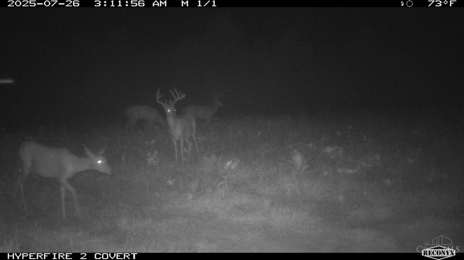 Lick Run Lyra Road, Bloom Twp, OH, 45682 — photo 70