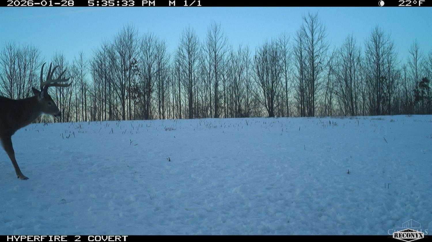 Lick Run Lyra Road, Bloom Twp, OH, 45682 — photo 89