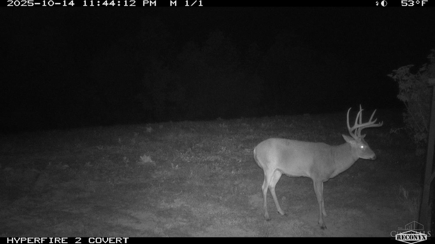 Lick Run Lyra Road, Bloom Twp, OH, 45682 — photo 84