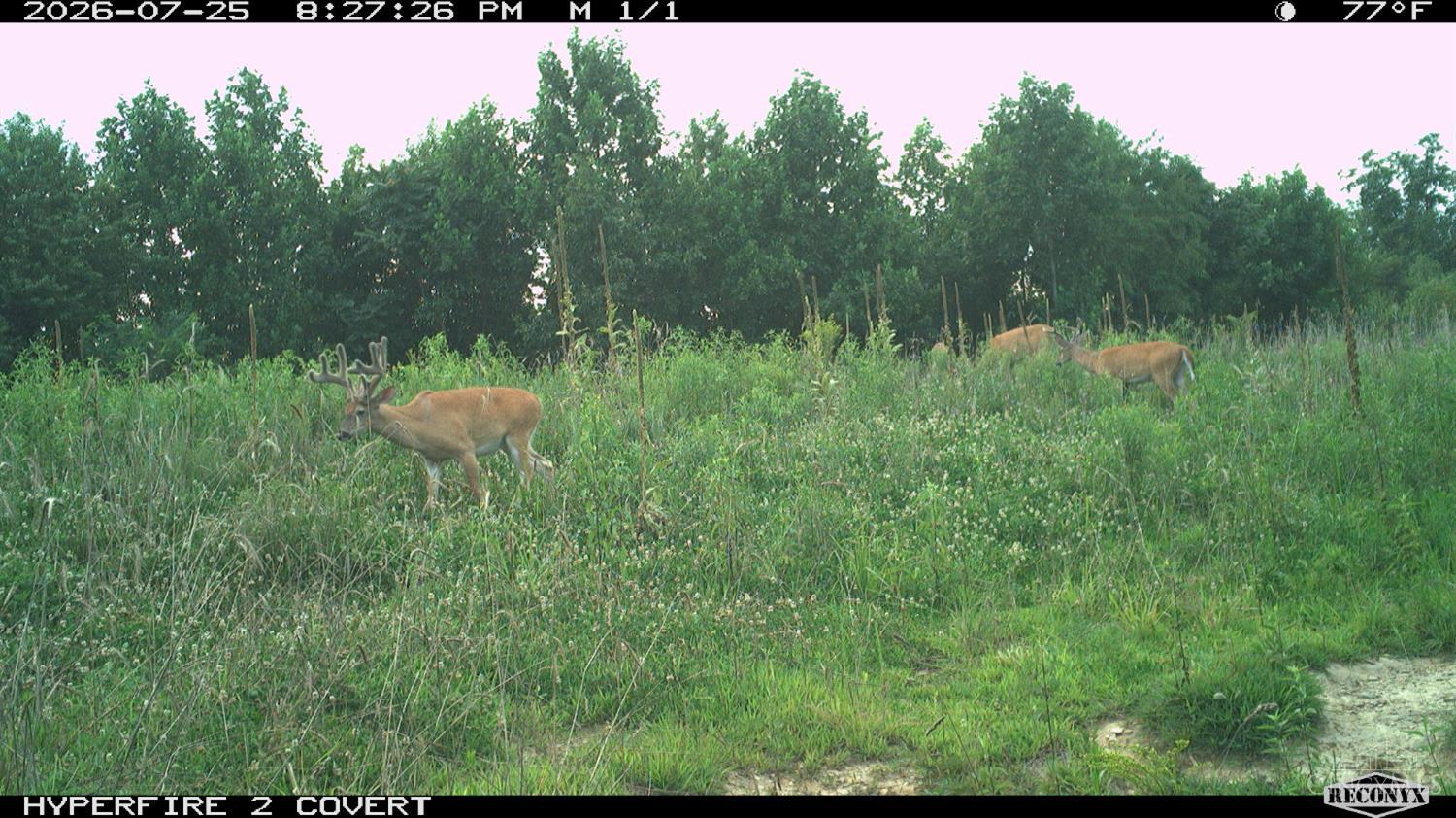Lick Run Lyra Road, Bloom Twp, OH, 45682 — photo 97