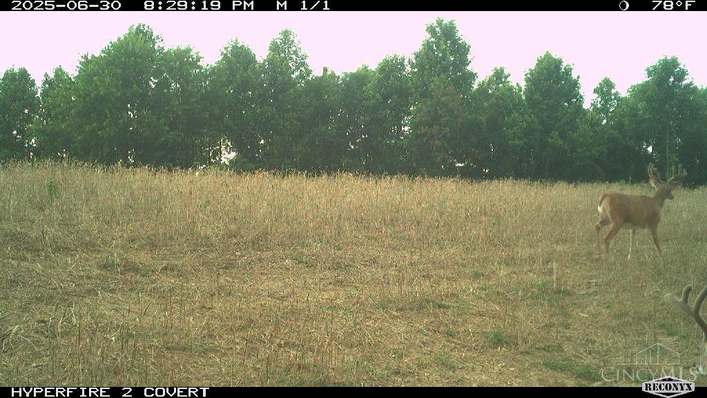 Lick Run Lyra Road, Bloom Twp, OH, 45682 — photo 66
