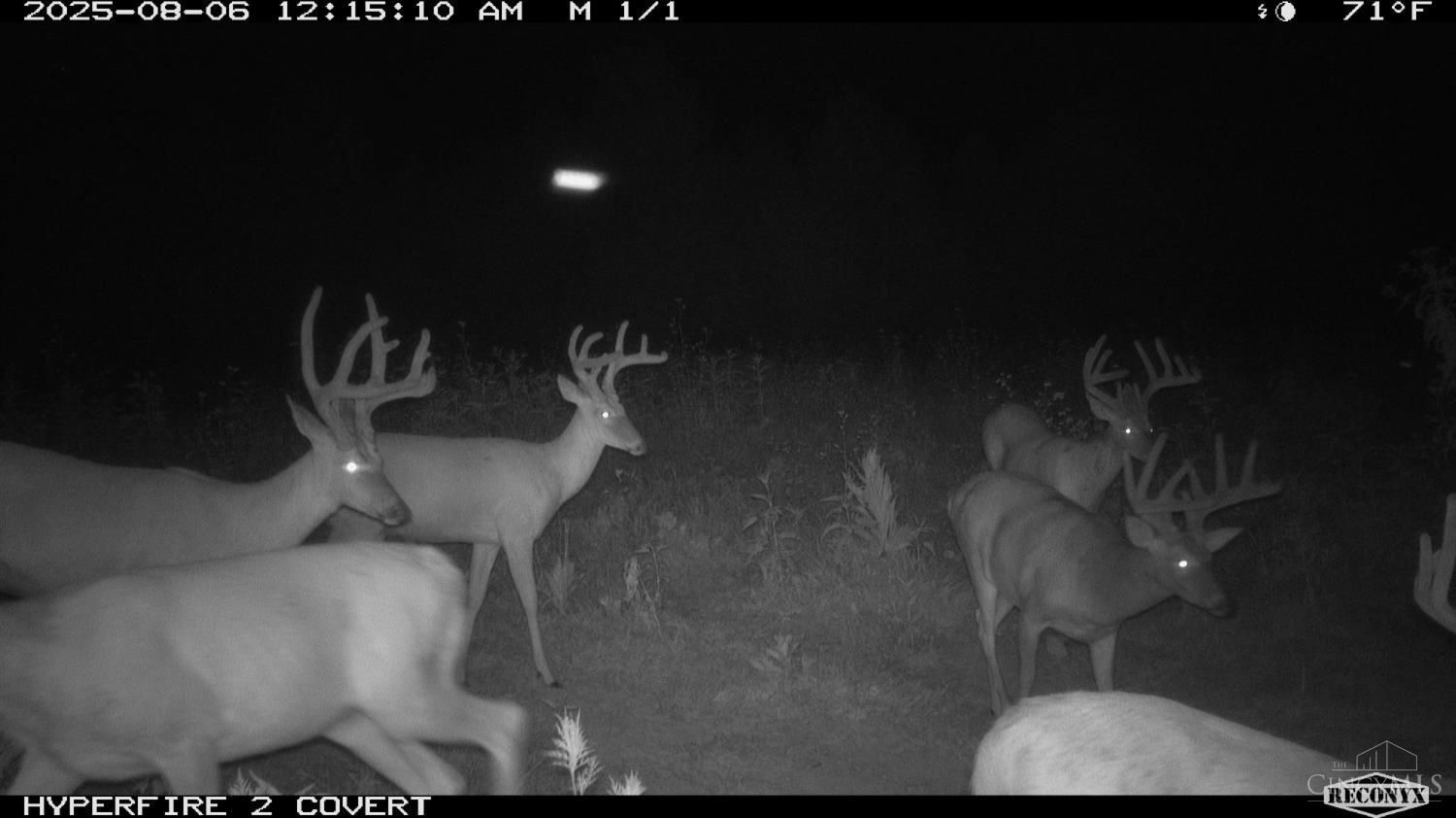 Lick Run Lyra Road, Bloom Twp, OH, 45682 — photo 78
