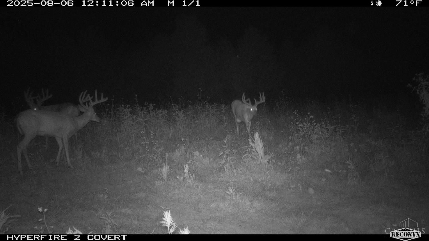 Lick Run Lyra Road, Bloom Twp, OH, 45682 — photo 77
