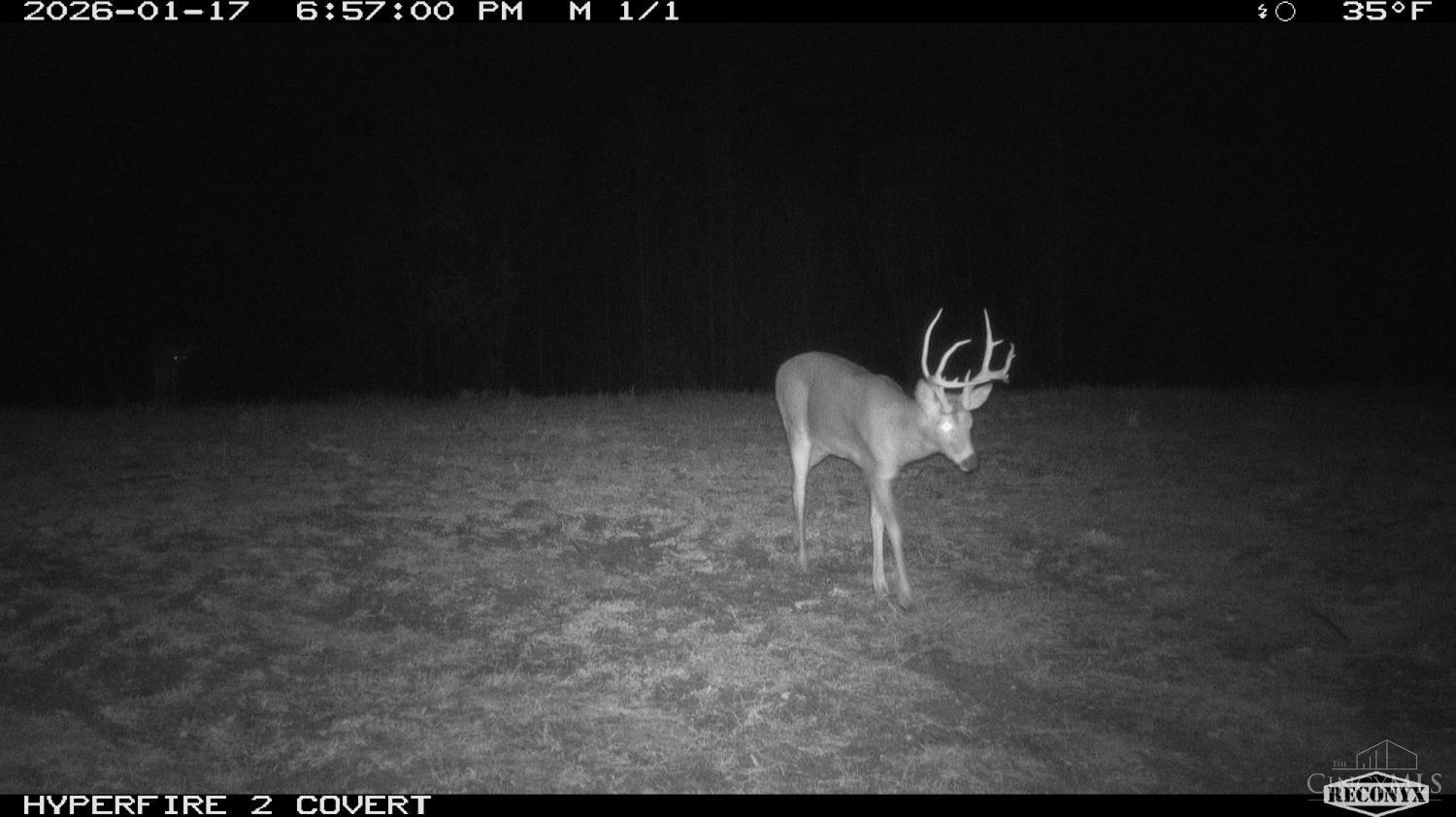 Lick Run Lyra Road, Bloom Twp, OH, 45682 — photo 85