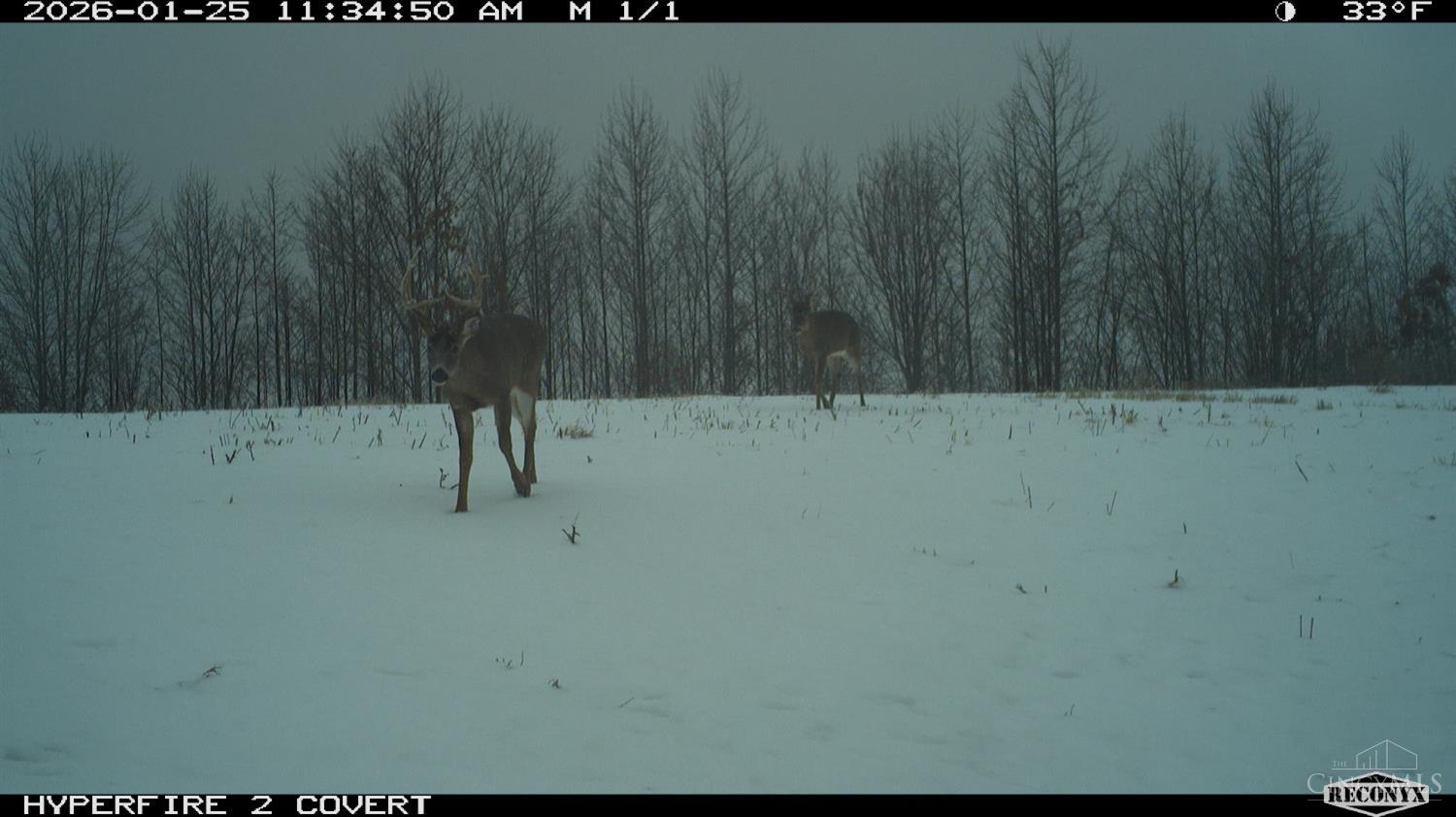 Lick Run Lyra Road, Bloom Twp, OH, 45682 — photo 86