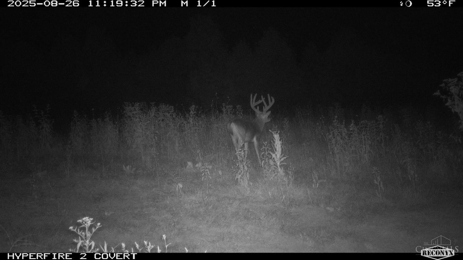 Lick Run Lyra Road, Bloom Twp, OH, 45682 — photo 83
