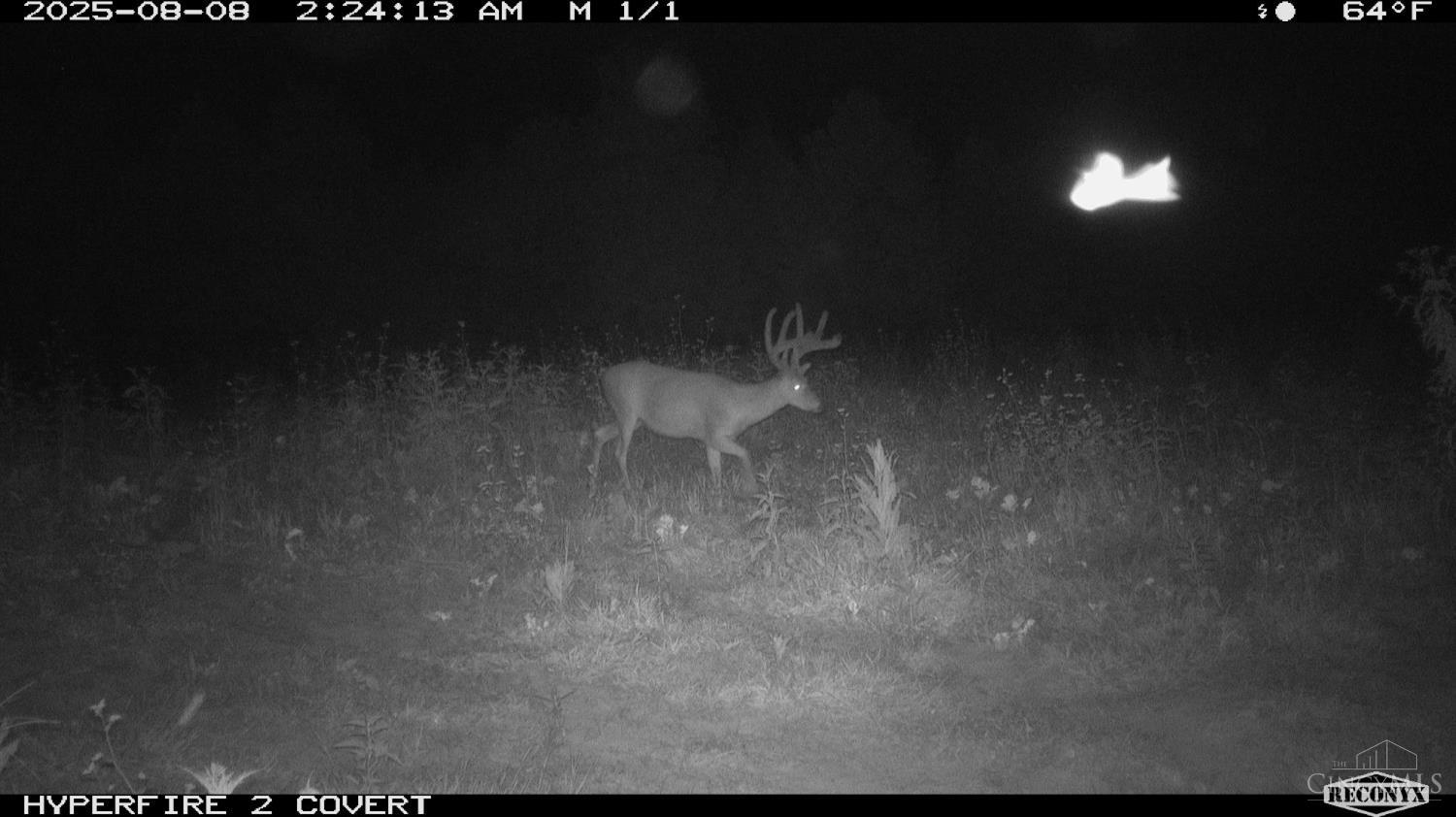 Lick Run Lyra Road, Bloom Twp, OH, 45682 — photo 79