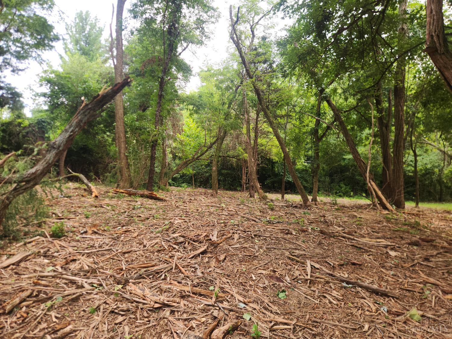 A Clough Pike, Anderson Twp, OH, 45244 — photo 11
