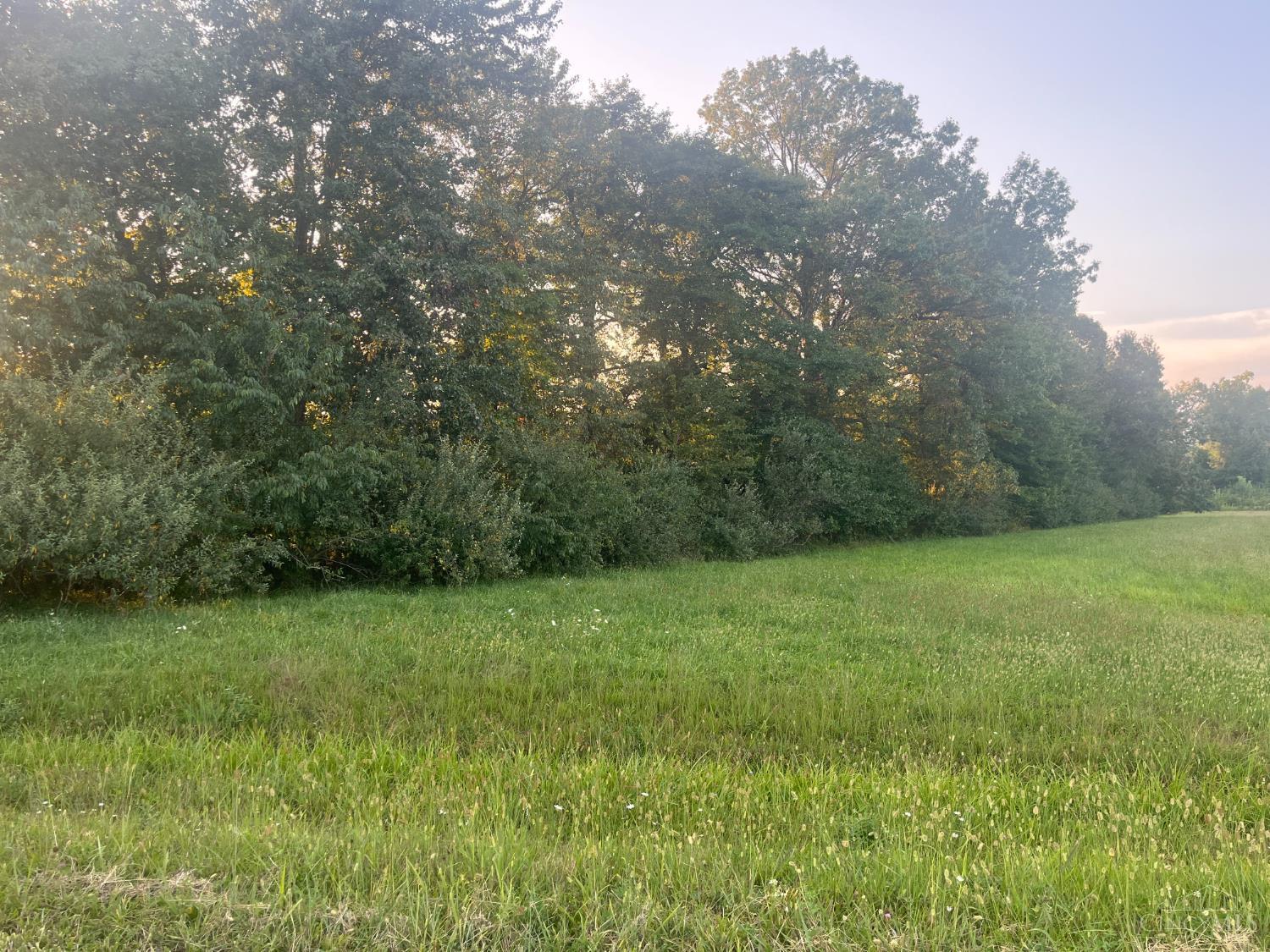 3106 Mule Dr, Franklin Twp, OH, 45171