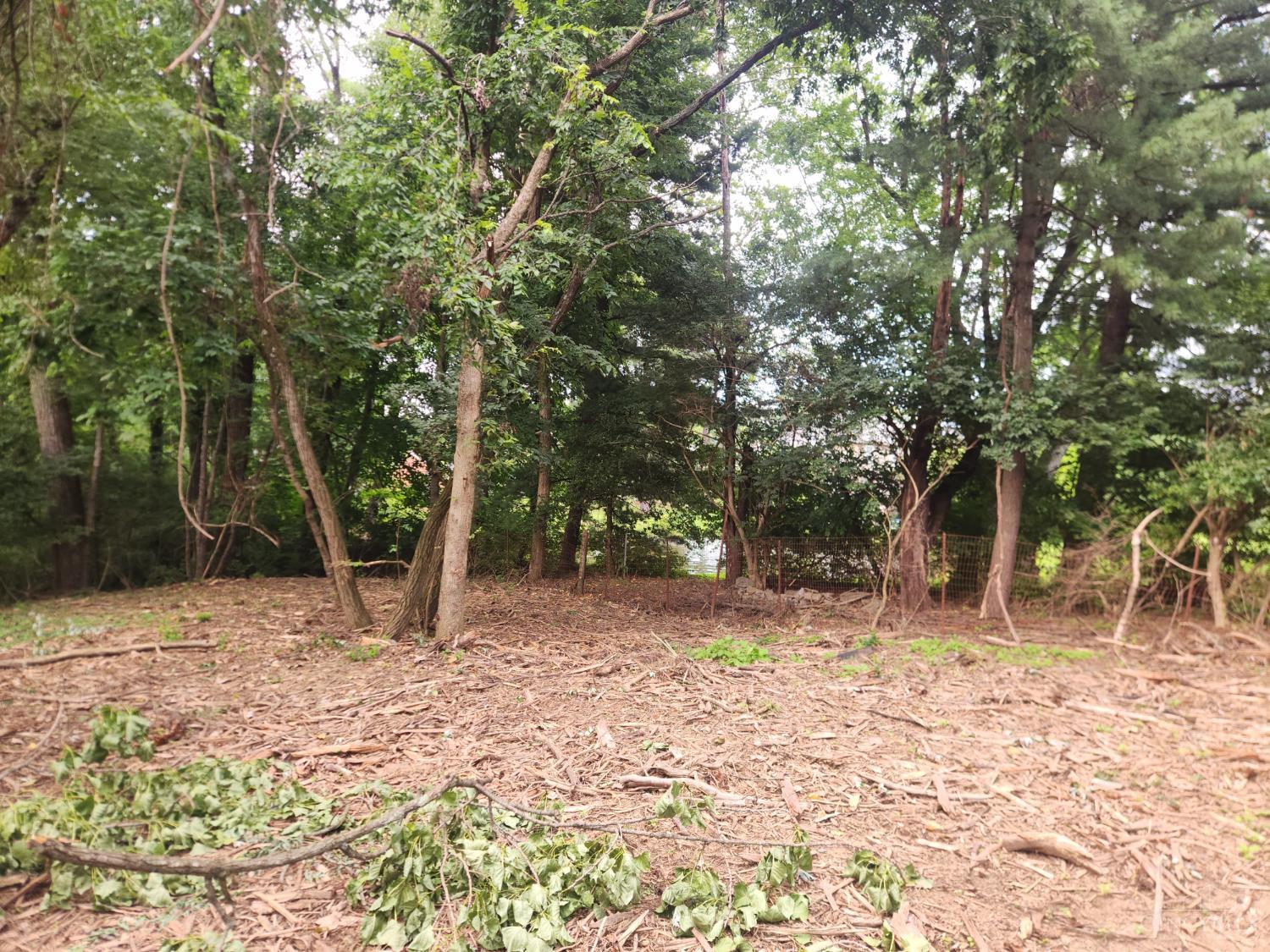 A Clough Pike, Anderson Twp, OH, 45244 — photo 10