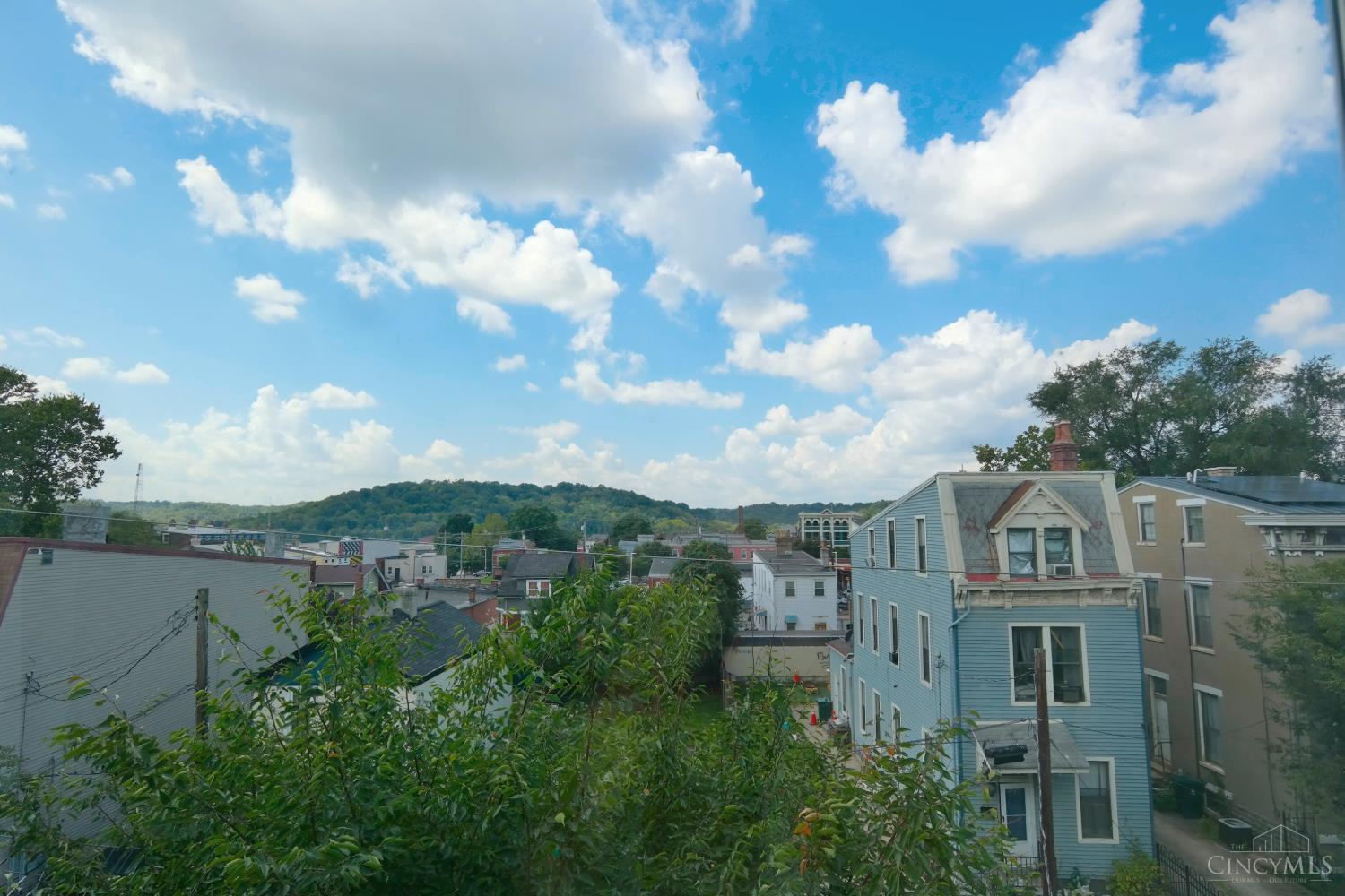 2968 Sidney Avenue, Cincinnati, OH, 45225 — photo 19