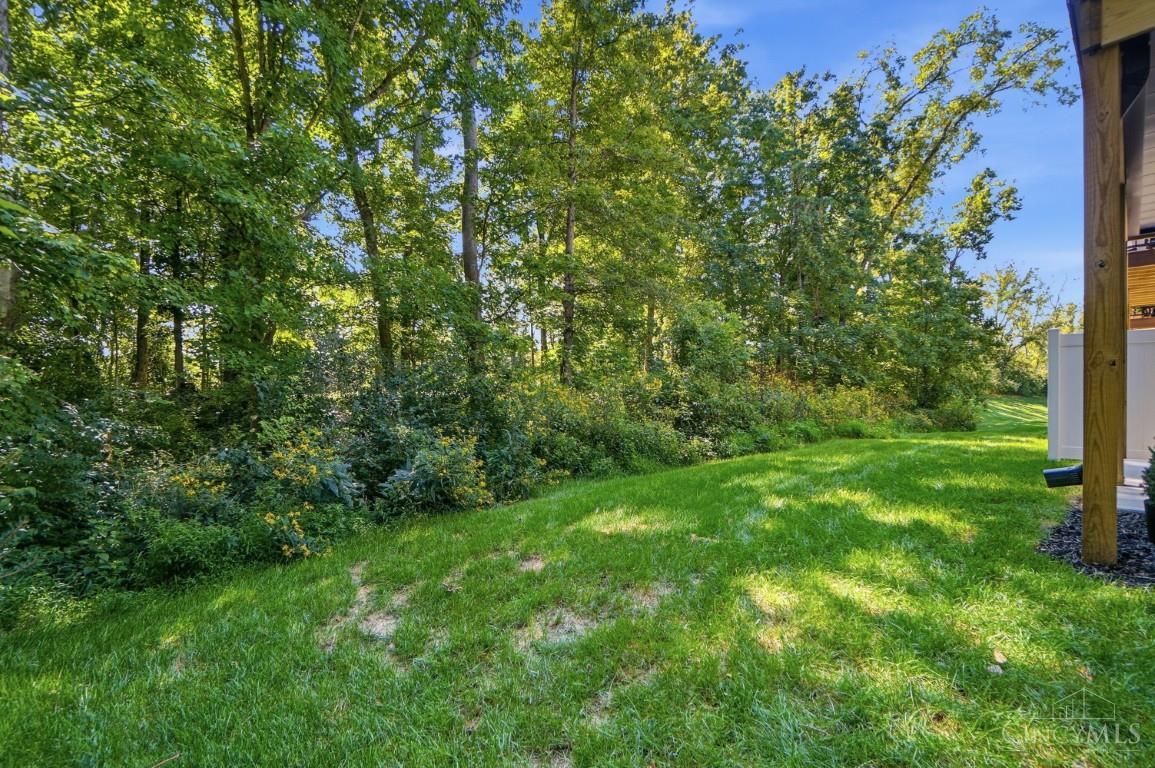 132 Blossom View Drive, Loveland, OH, 45140 — photo 58