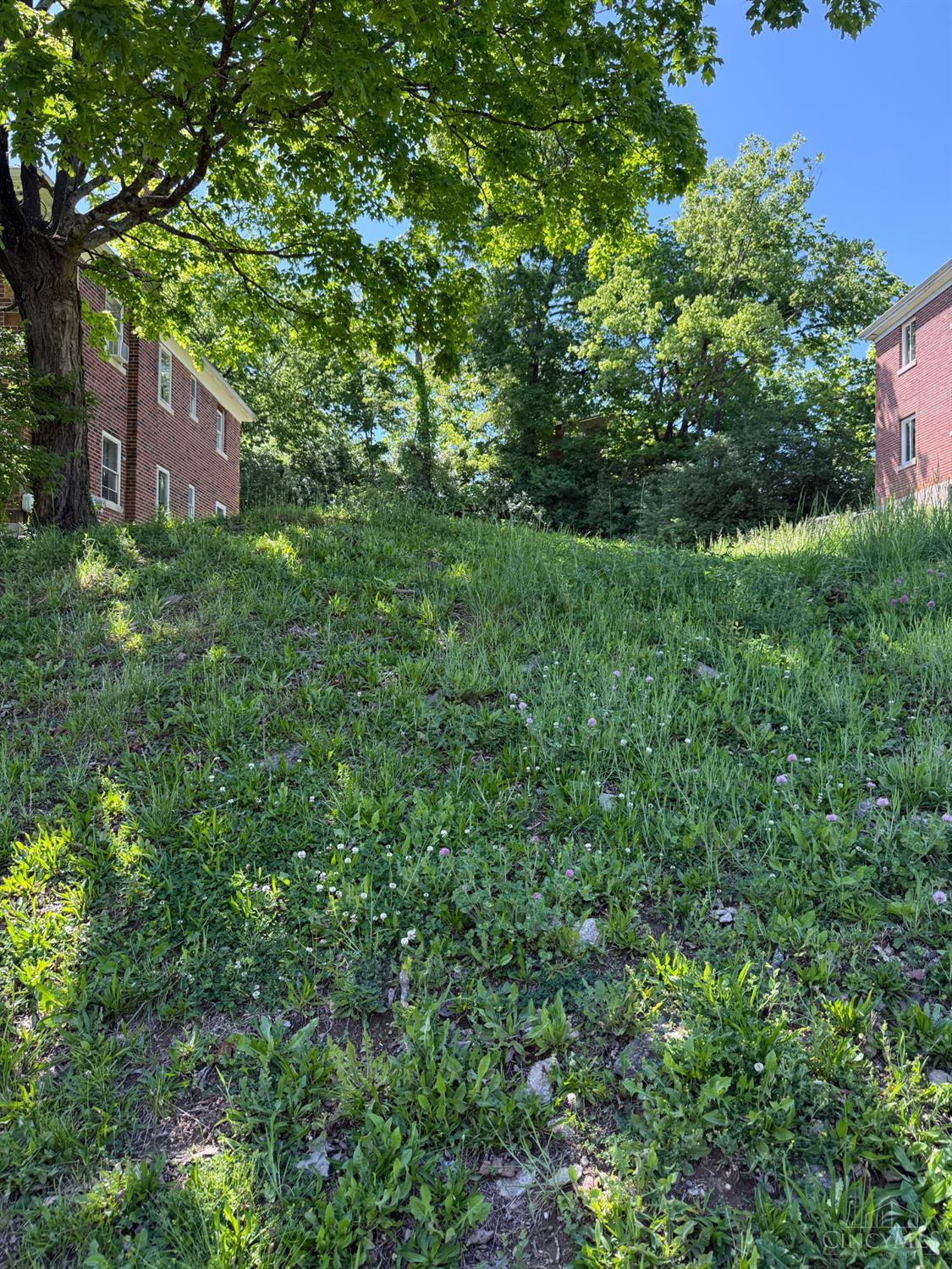 3127 Bracken Woods Lane, Cincinnati, OH, 45211