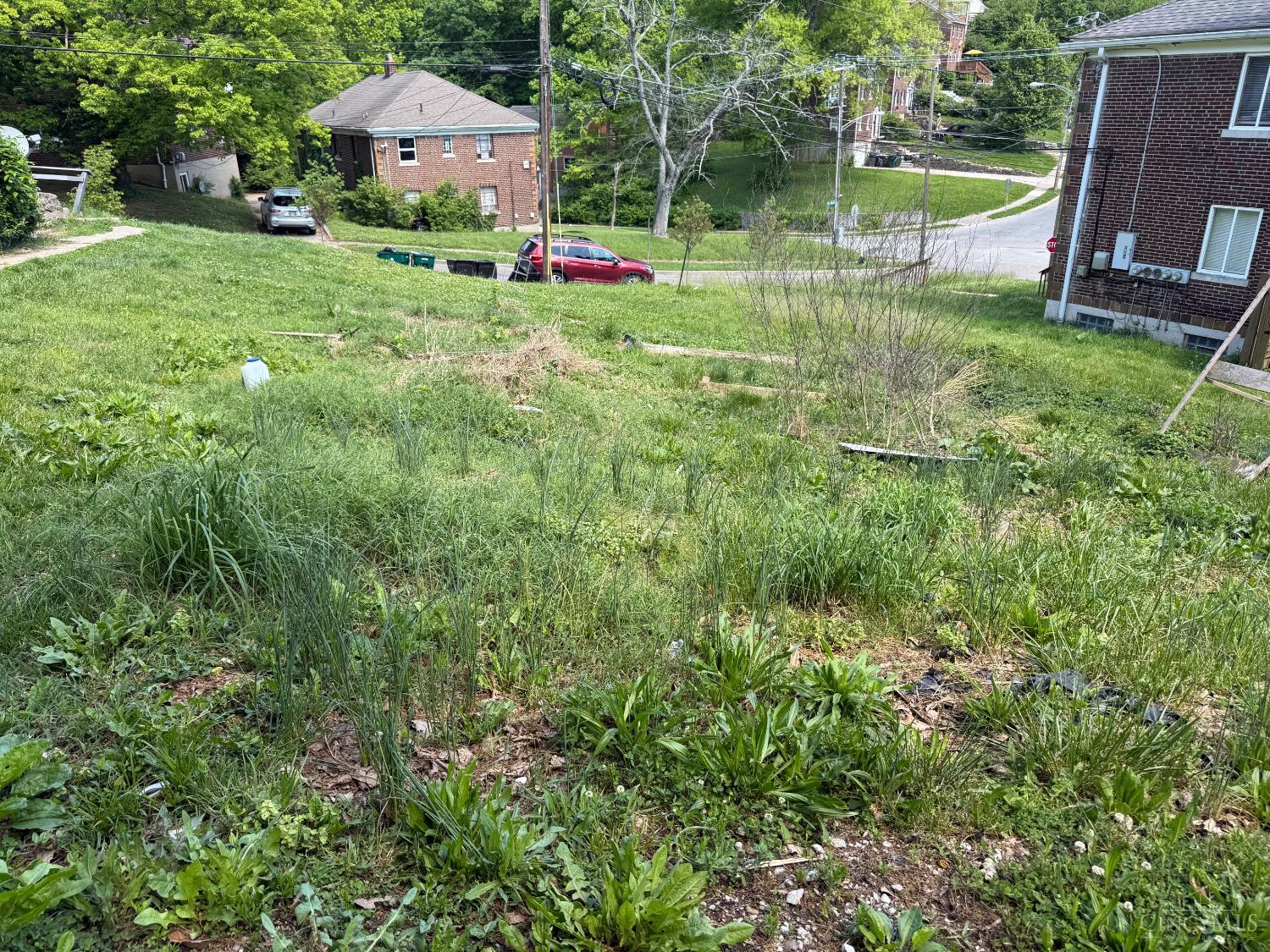 3111 Bracken Woods Lane, Cincinnati, OH, 45211 — photo 3