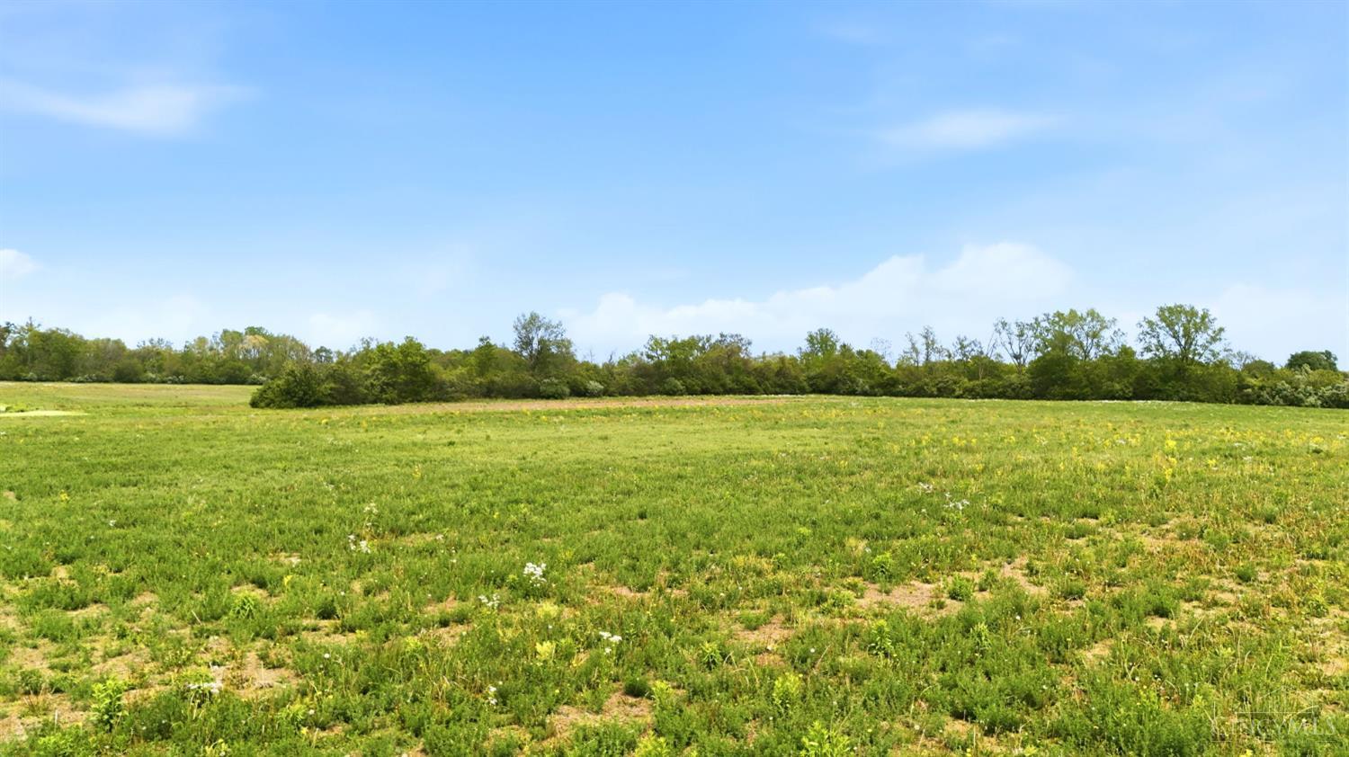 Lytle Road, Wayne Twp, OH, 45068 — photo 9