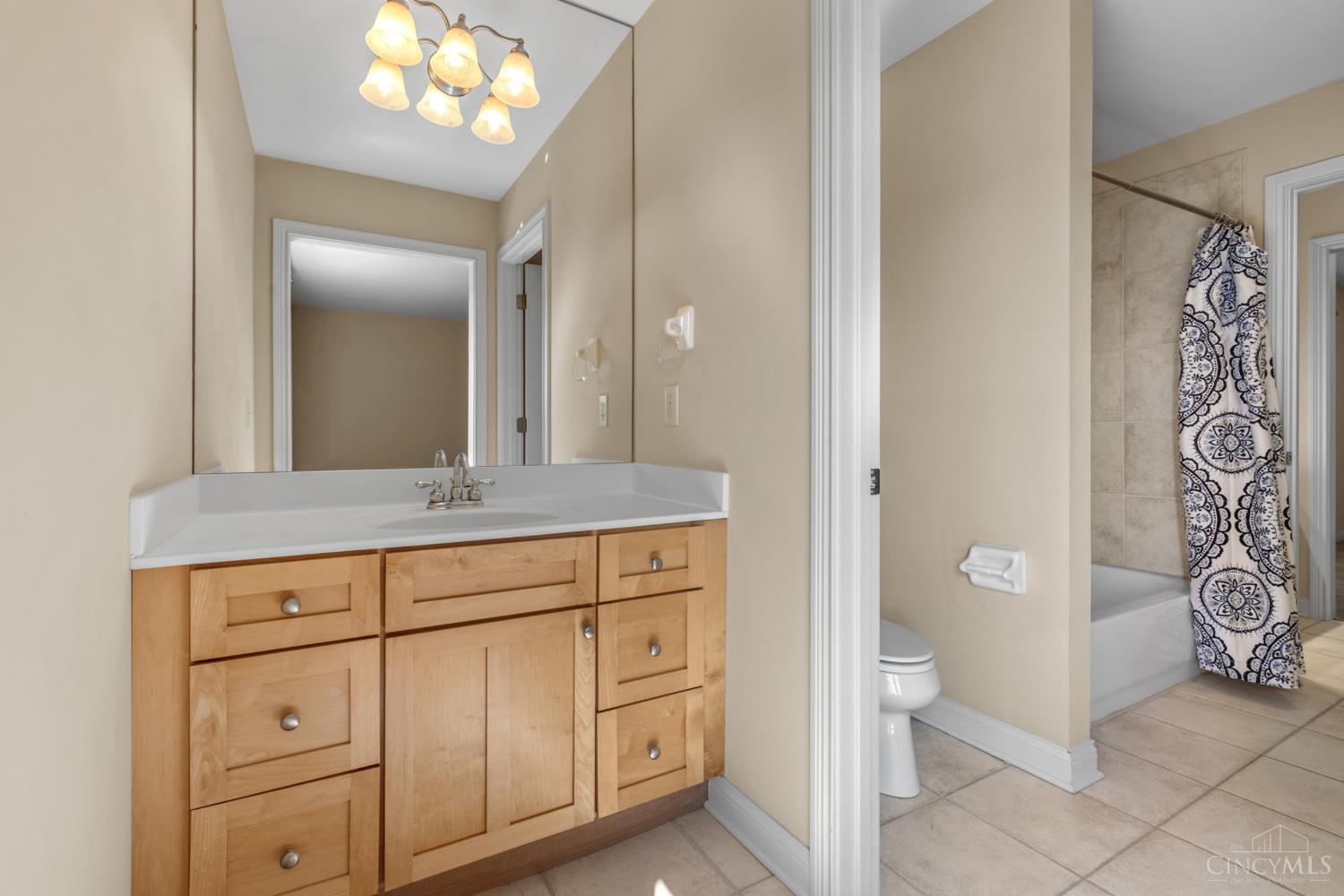 1046 Tuscany Place, Cincinnati, OH, 45226 — photo 39