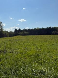 Diver Lane, Madison Twp, OH, 45042 — photo 2