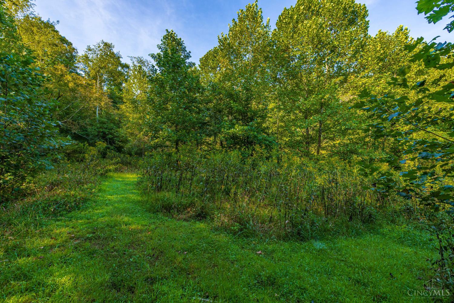 145 Tobe Lewis Road, Lynx, OH, 45650 — photo 25