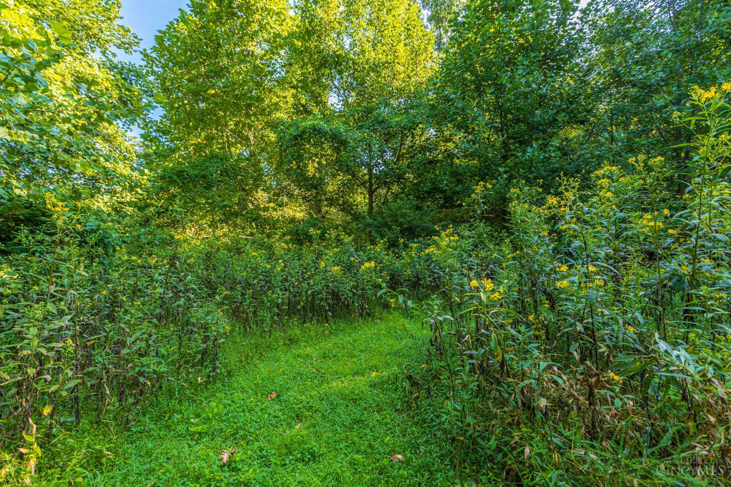 145 Tobe Lewis Road, Lynx, OH, 45650 — photo 27