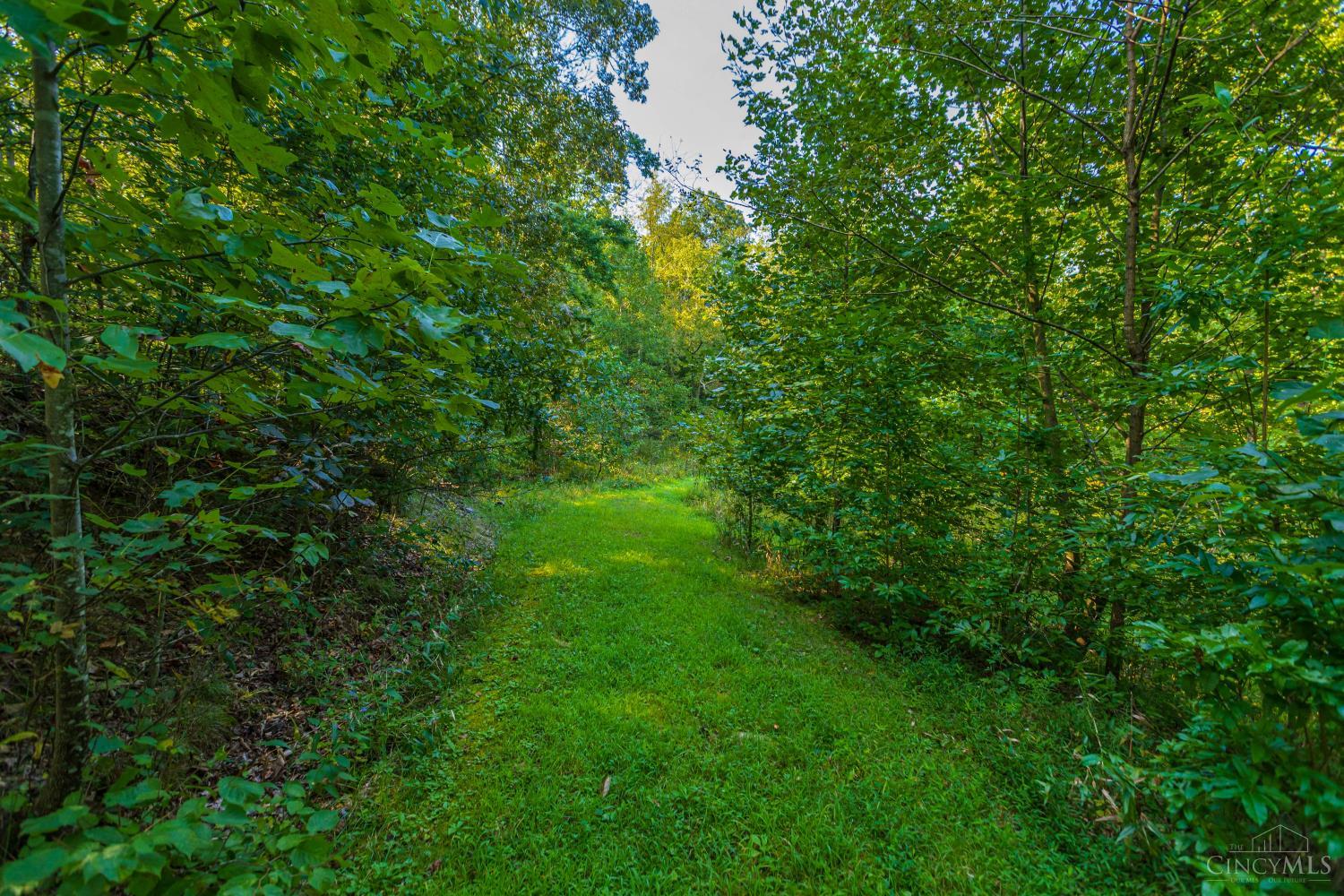 145 Tobe Lewis Road, Lynx, OH, 45650 — photo 24