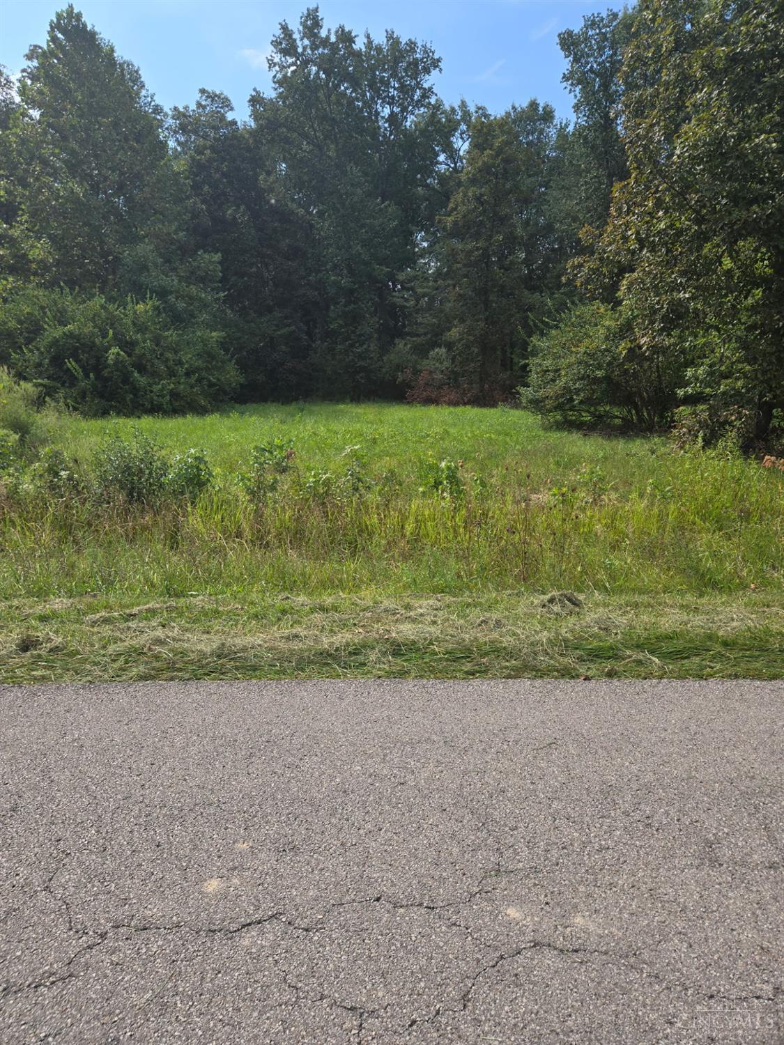 New Harmoney Salem Road, Sterling Twp, OH, 45154 — photo 2