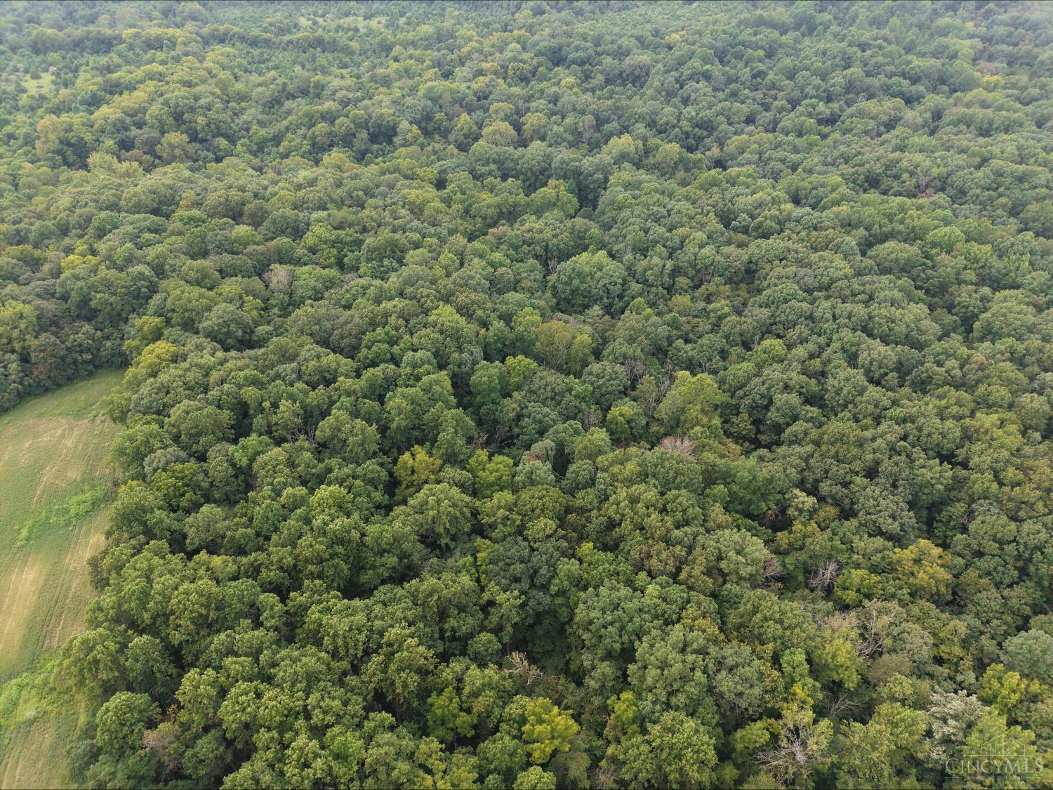 Harriet Road, Marshall Twp, OH, 45133 — photo 5