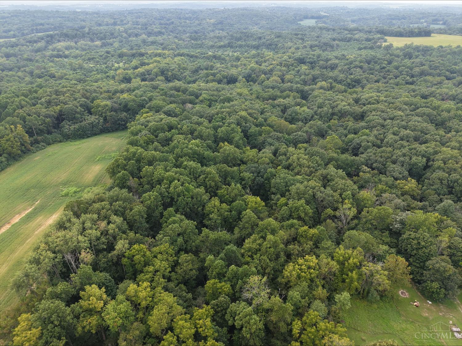 Harriet Road, Marshall Twp, OH, 45133 — photo 10