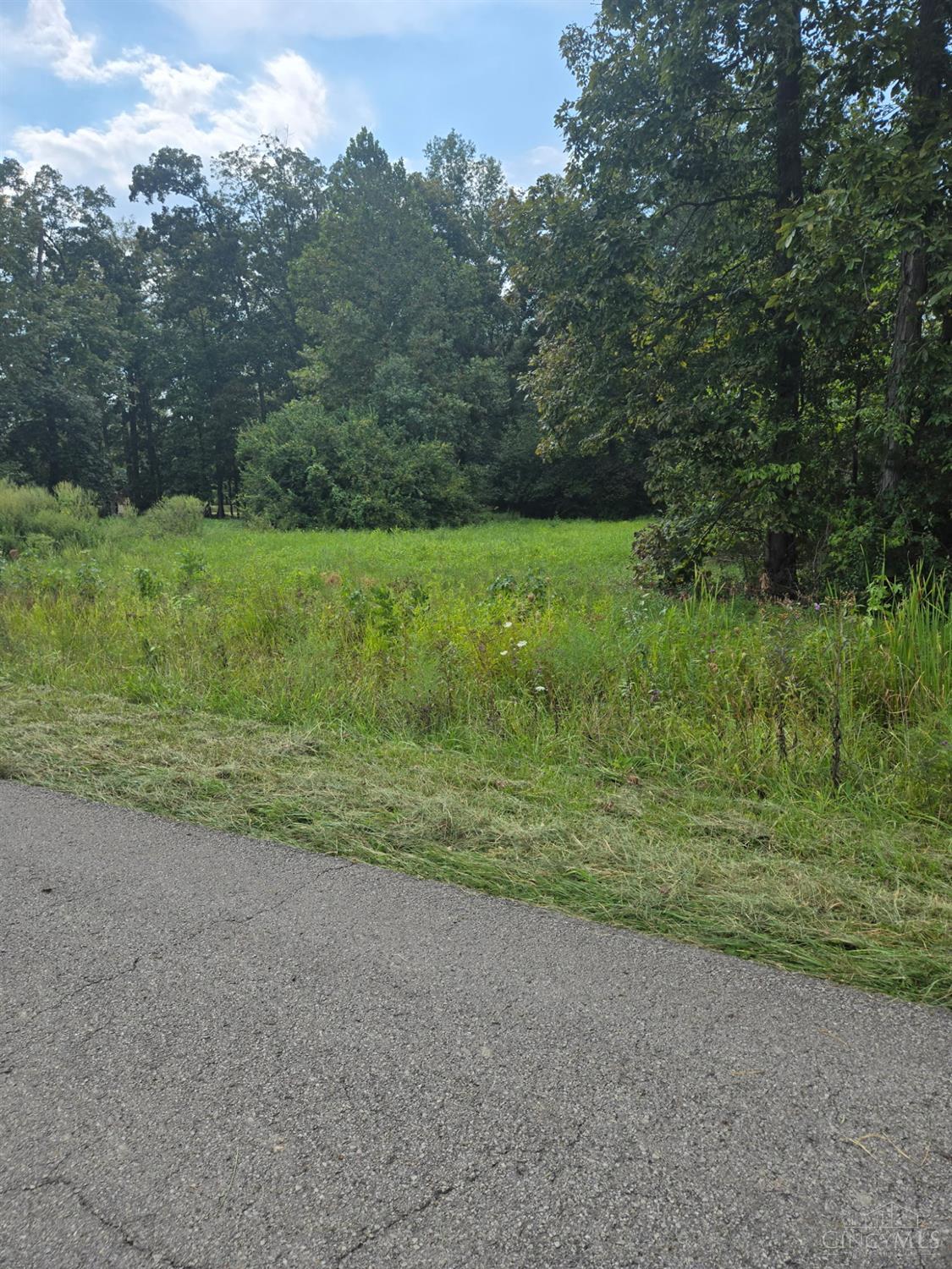 New Harmoney Salem Road, Sterling Twp, OH, 45154 — photo 4