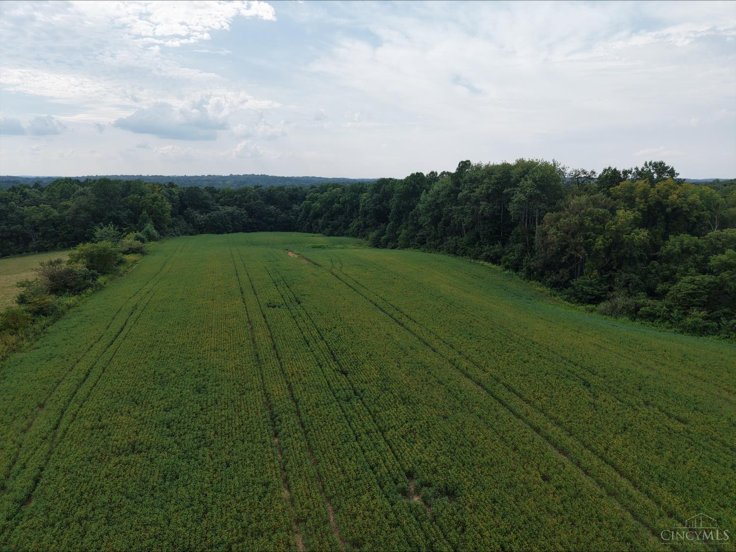 Harriet Road, Marshall Twp, OH, 45133 — photo 8