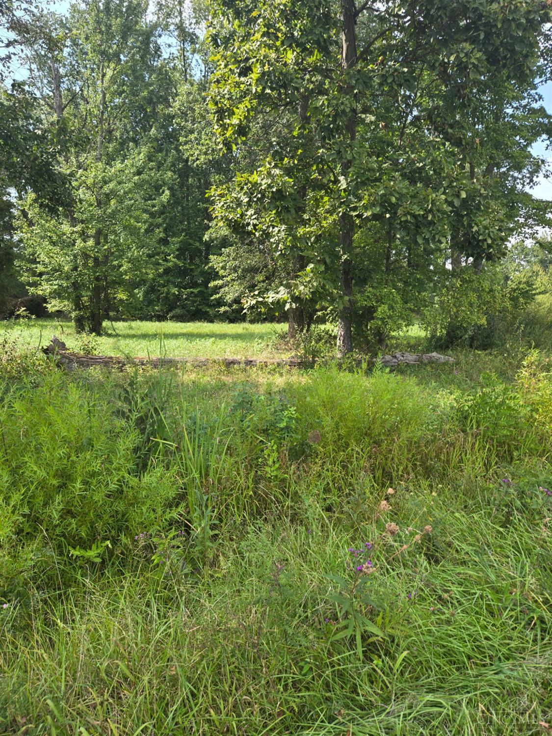 1 New Harmony Salem Road, Sterling Twp, OH, 45154 — photo 4