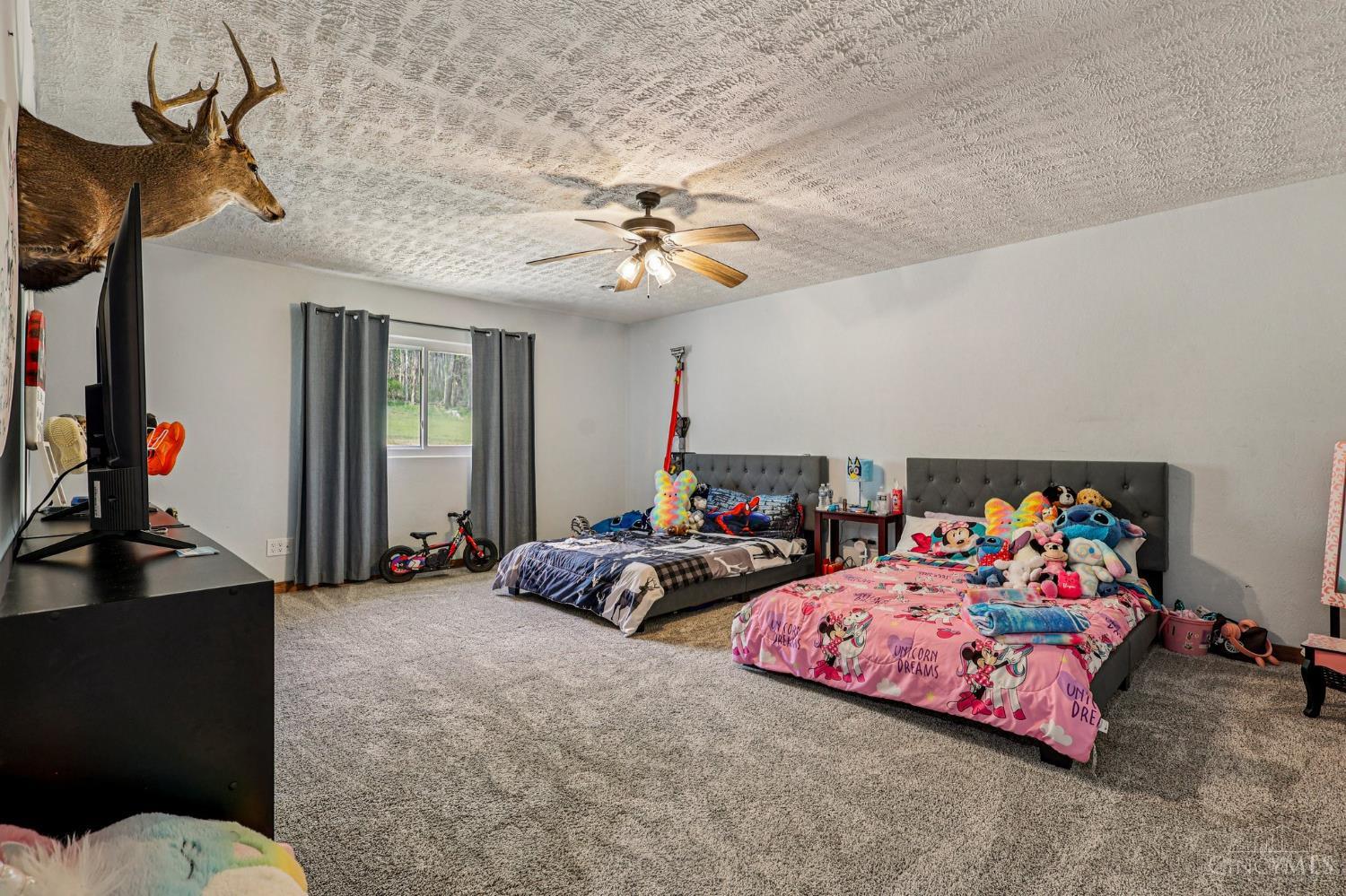 189 Hamilton Road, Lynx, OH, 45650 — photo 29