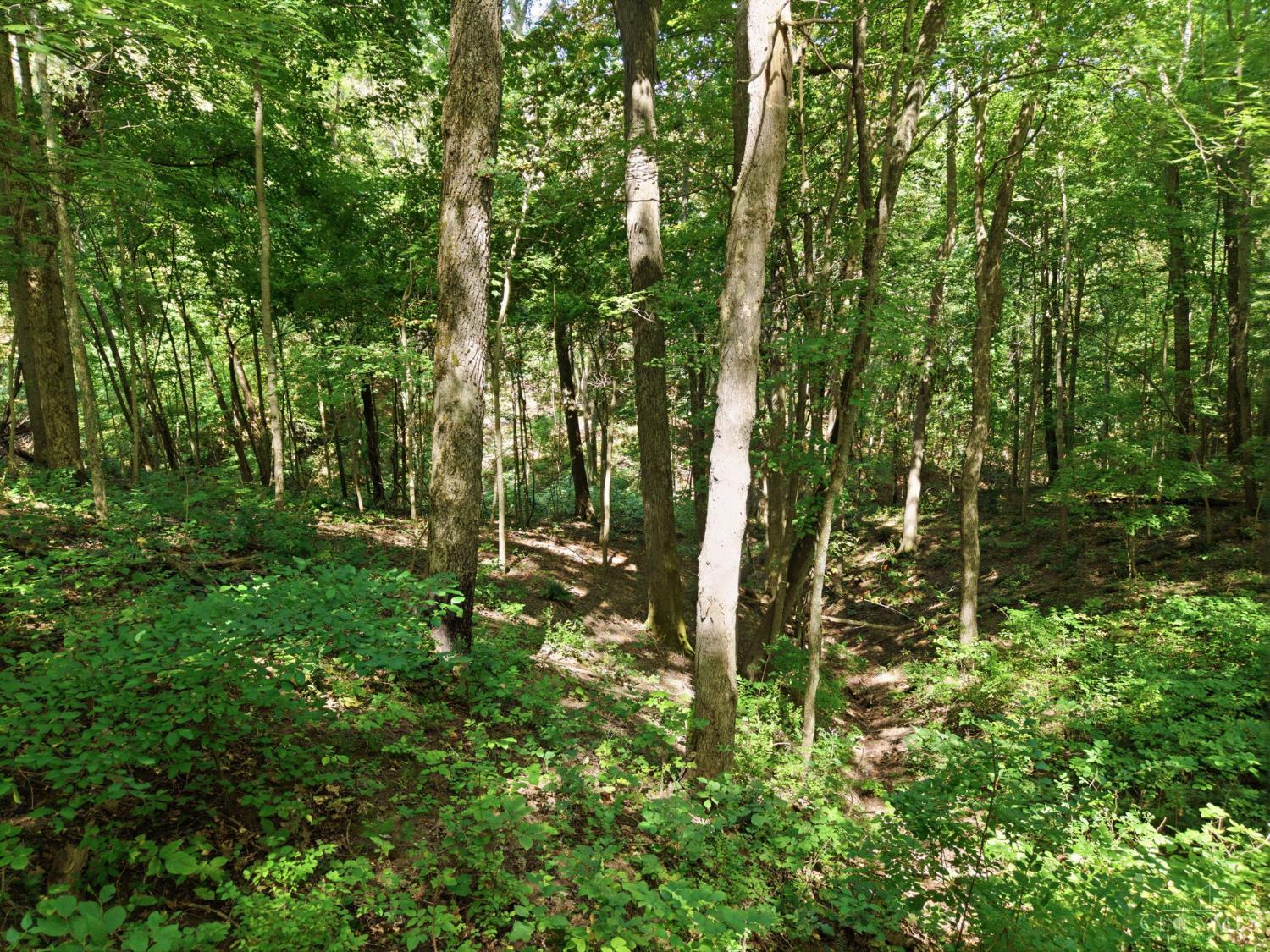 3151 Pond Run Road, Pierce Twp, OH, 45157 — photo 29