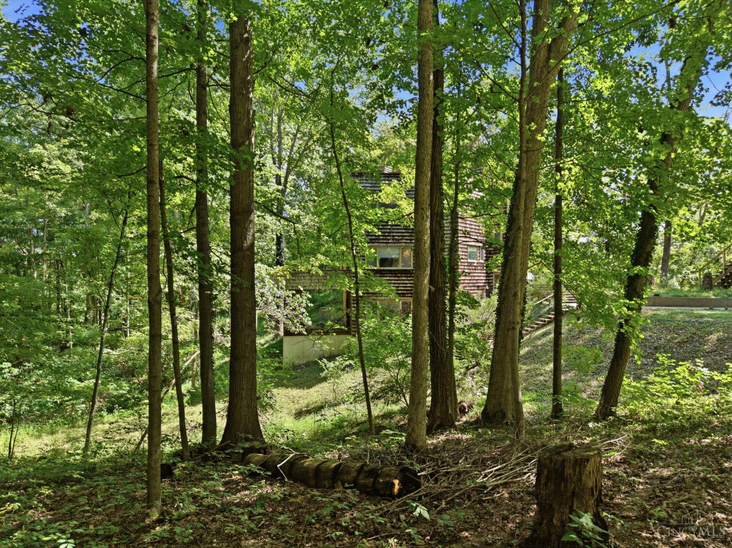 3151 Pond Run Road, Pierce Twp, OH, 45157 — photo 28