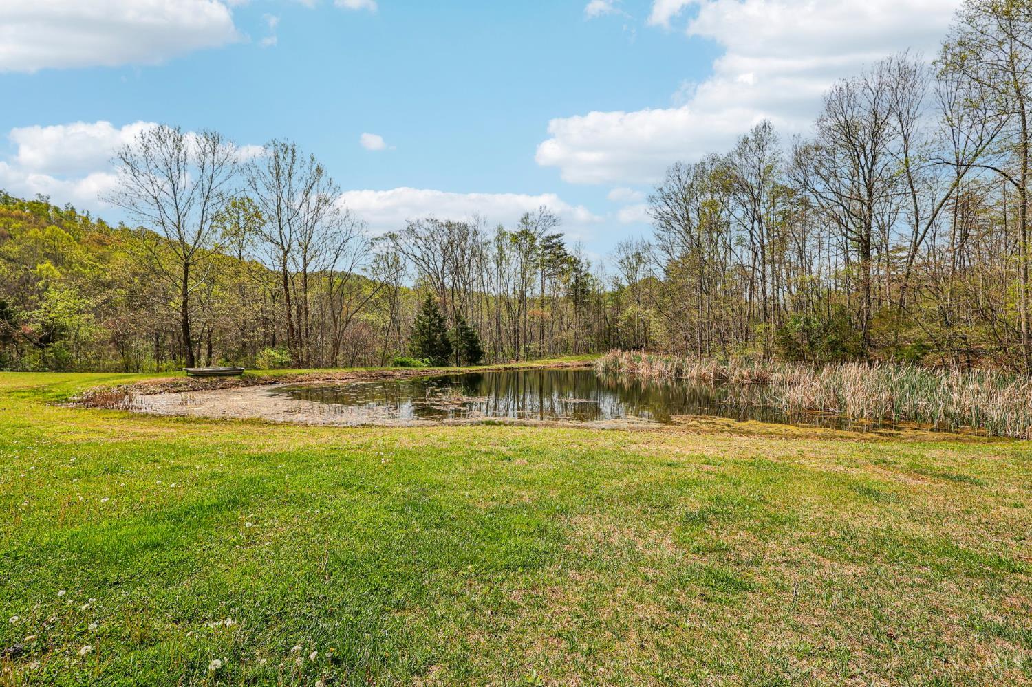 189 Hamilton Road, Lynx, OH, 45650 — photo 48