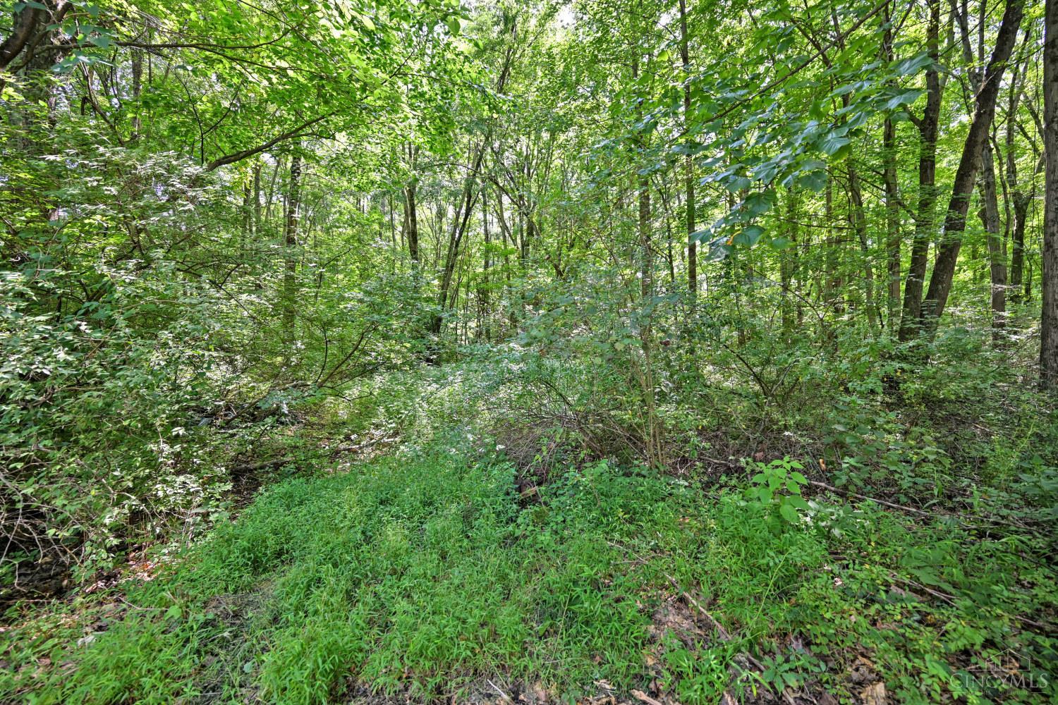 3617 St Rt 222, Batavia Twp, OH, 45103 — photo 4