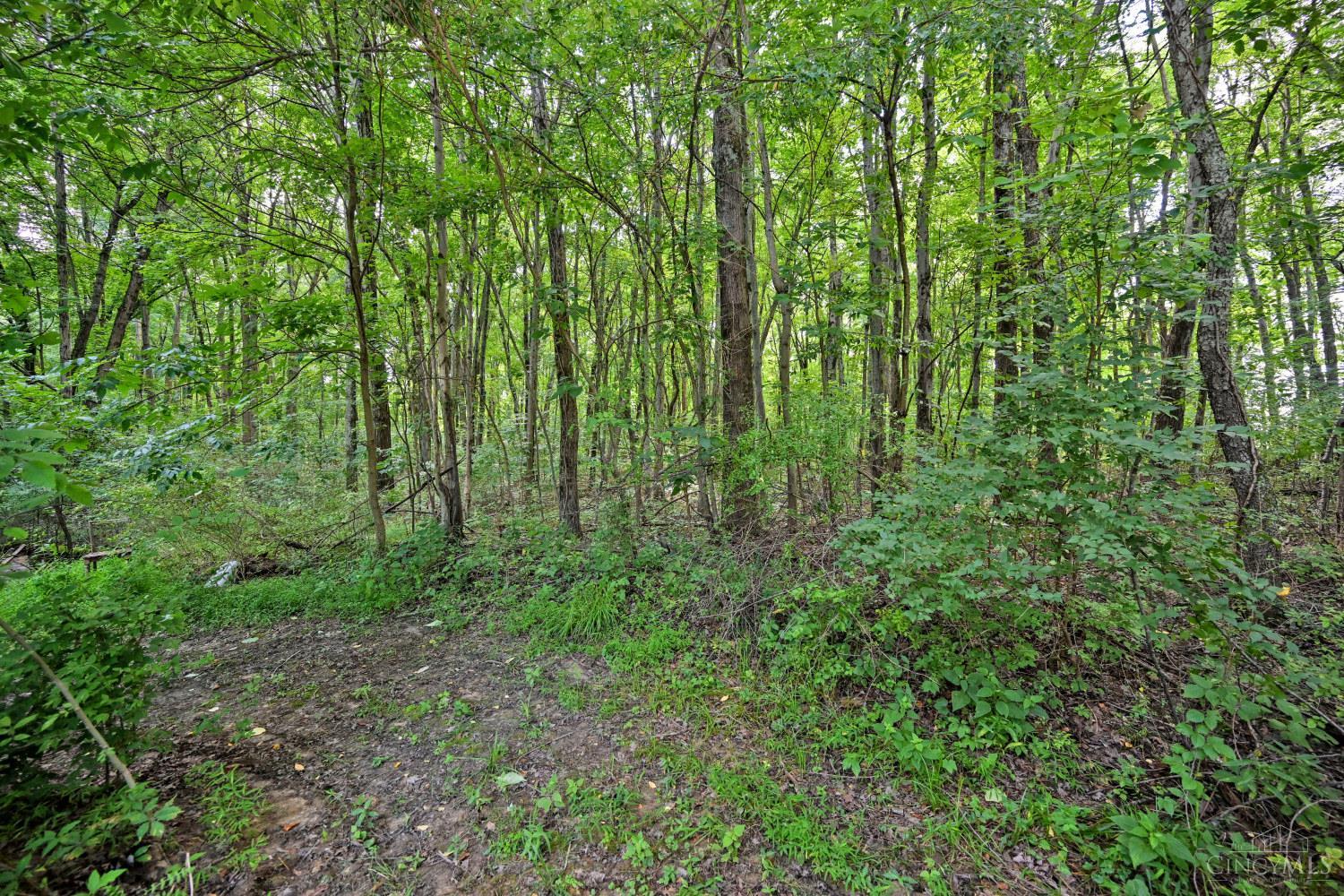 3617 St Rt 222, Batavia Twp, OH, 45103 — photo 3