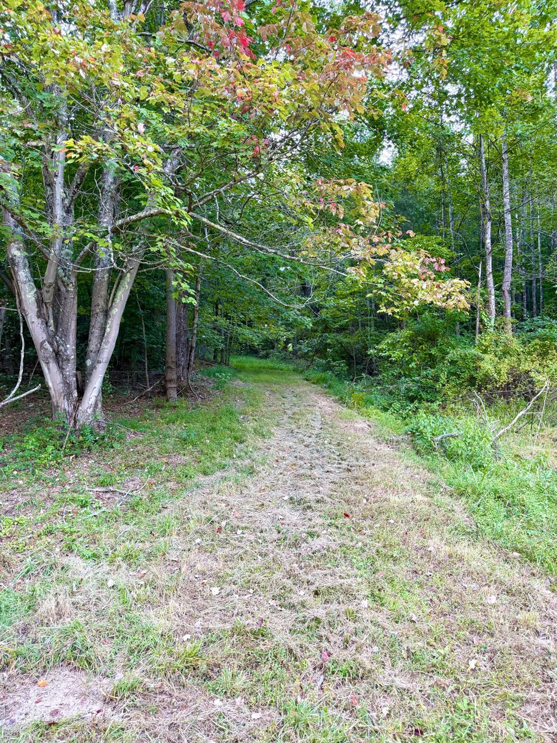 Greenbriar Road, Harrison Twp, OH, 45662 — photo 45