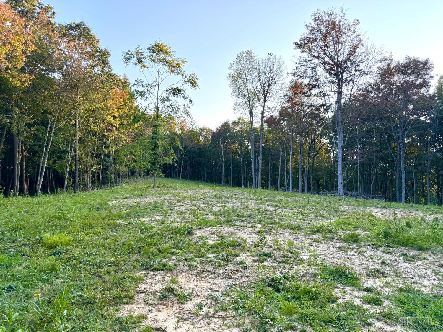 Greenbriar Road, Harrison Twp, OH, 45662 — photo 52