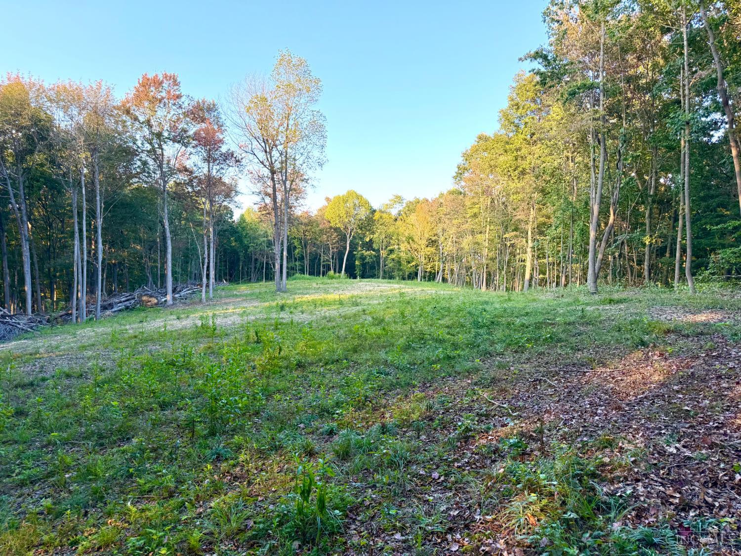 Greenbriar Road, Harrison Twp, OH, 45662 — photo 11