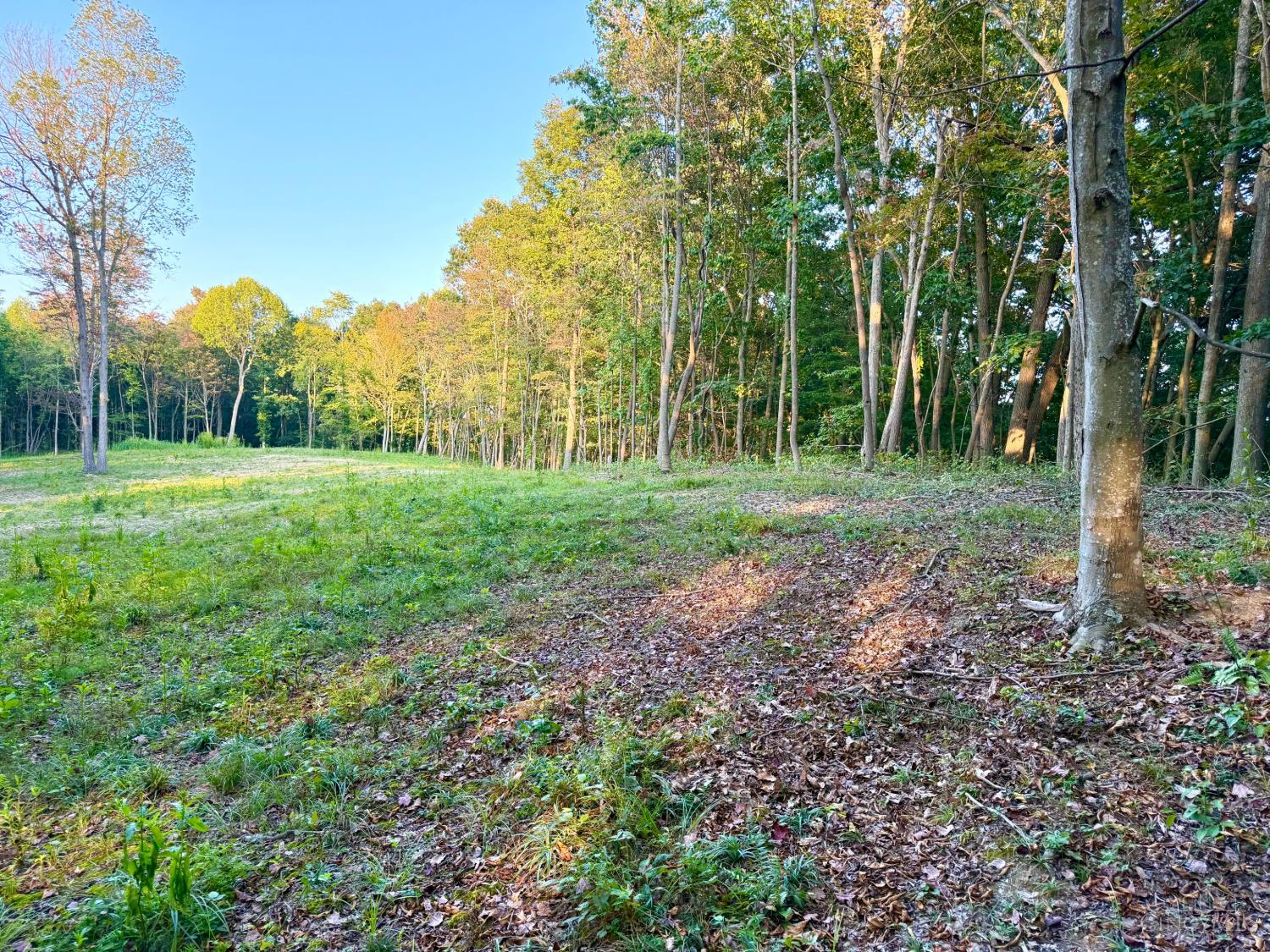Greenbriar Road, Harrison Twp, OH, 45662 — photo 30