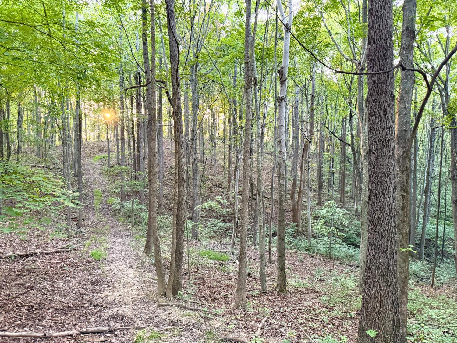 Greenbriar Road, Harrison Twp, OH, 45662