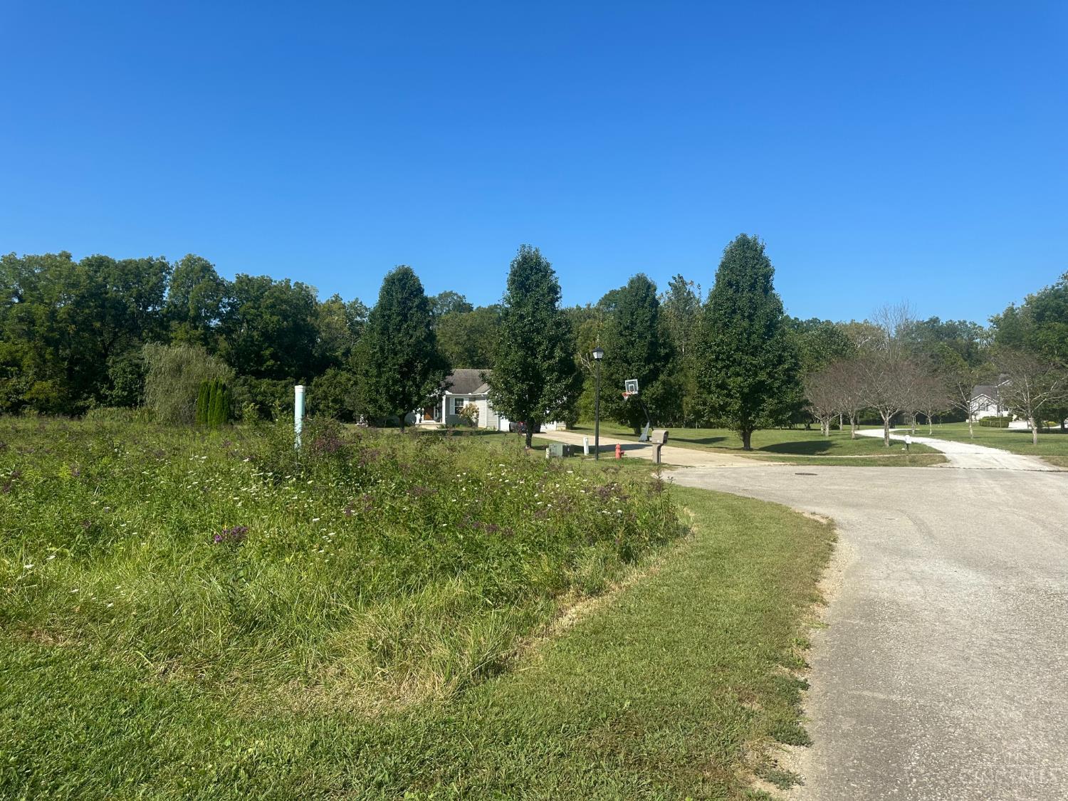 649 Lily Way, Bethel, OH, 45106 — photo 5