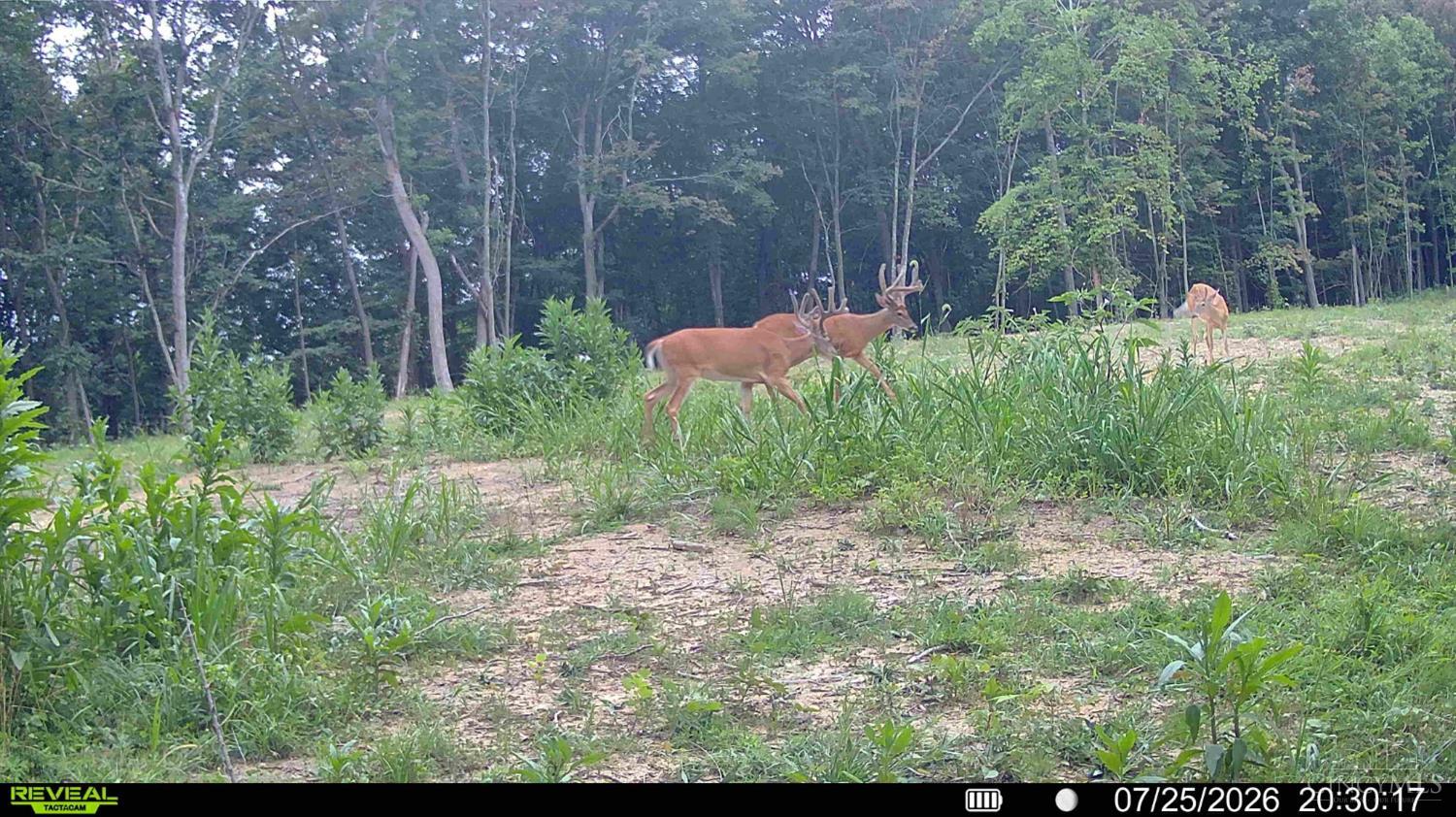 Greenbriar Road, Harrison Twp, OH, 45662 — photo 27