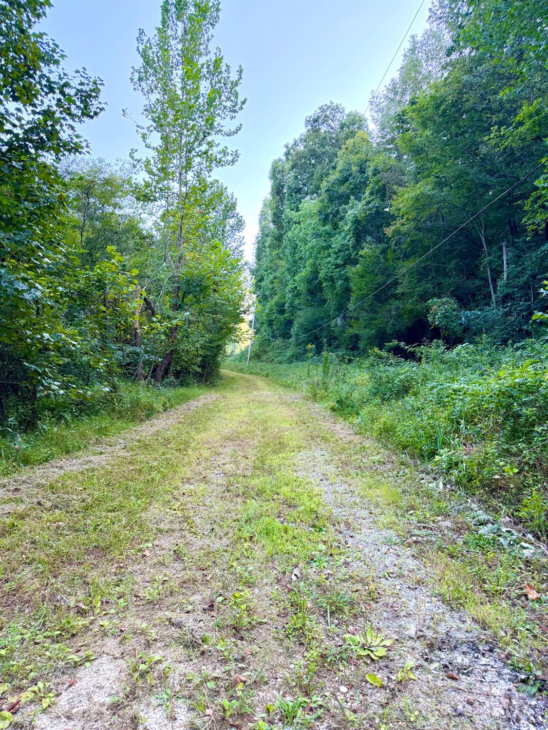 Greenbriar Road, Harrison Twp, OH, 45662 — photo 40