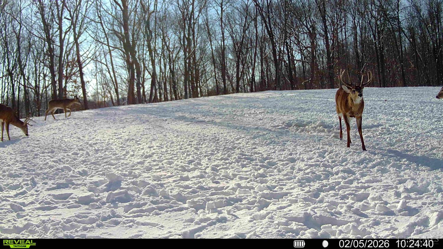 Greenbriar Road, Harrison Twp, OH, 45662 — photo 26