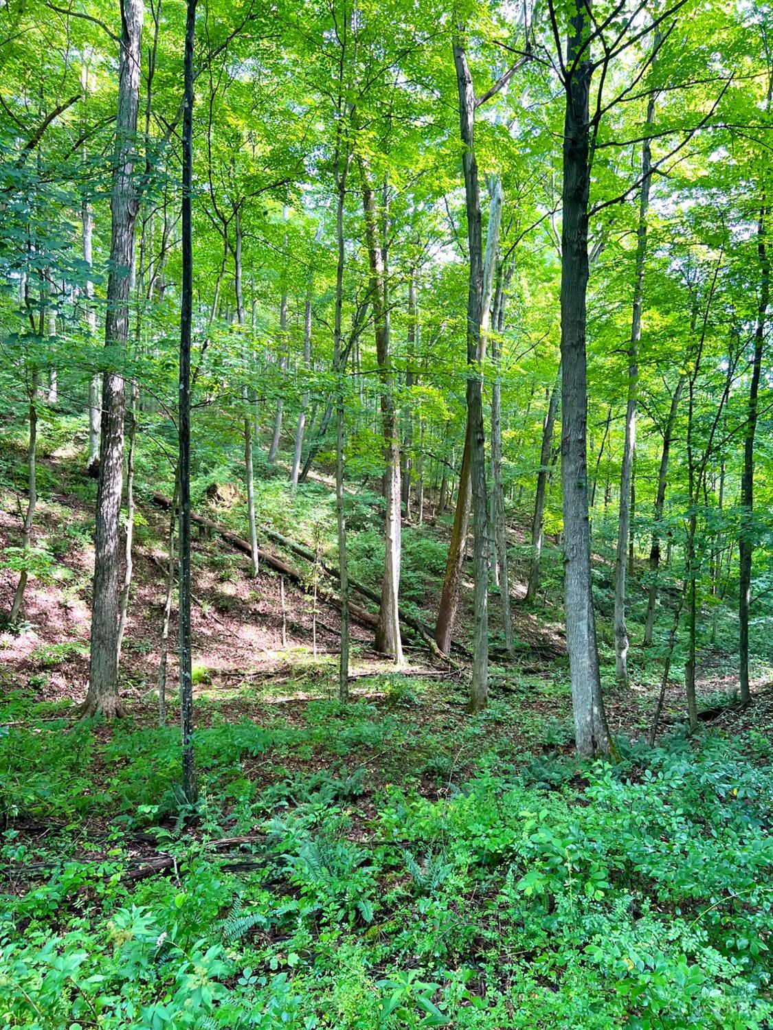 Greenbriar Road, Harrison Twp, OH, 45662 — photo 93