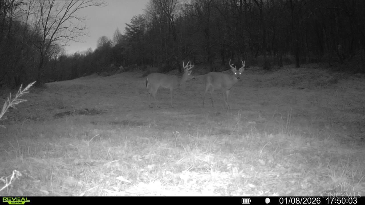 Greenbriar Road, Harrison Twp, OH, 45662 — photo 17