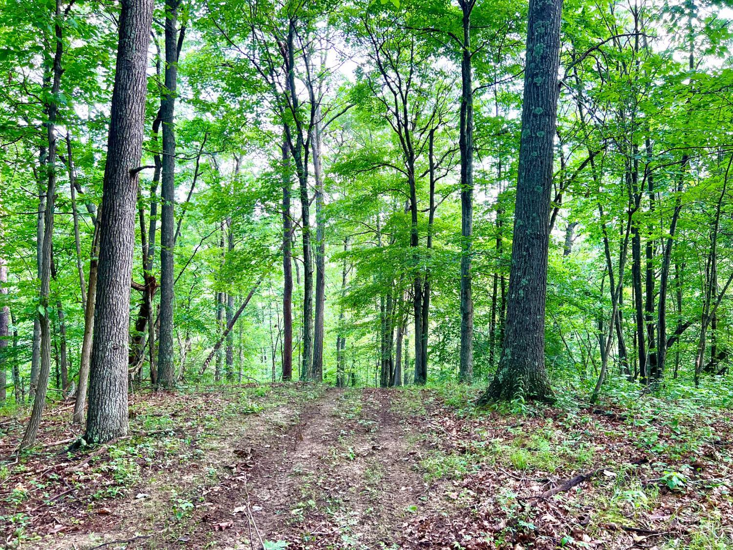Greenbriar Road, Harrison Twp, OH, 45662 — photo 89